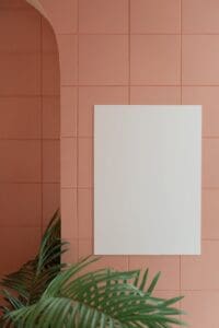 peach wall color