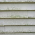 Green algae and mildew growth on white residential siding, one of the most common signs your home needs exterior repainting in Baton Rouge.