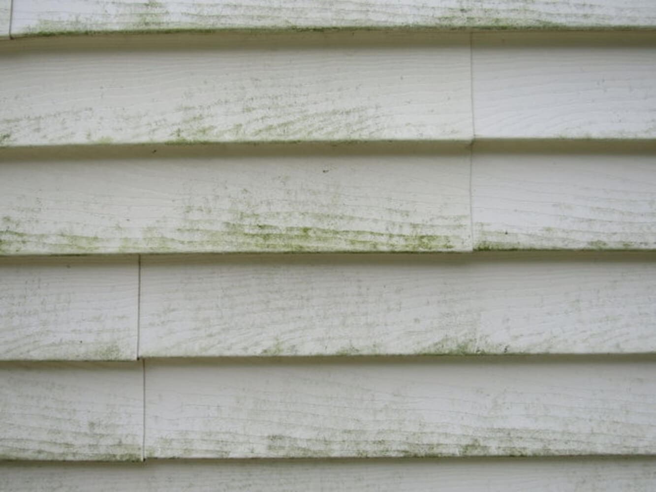 Green algae and mildew growth on white residential siding, one of the most common signs your home needs exterior repainting in Baton Rouge.