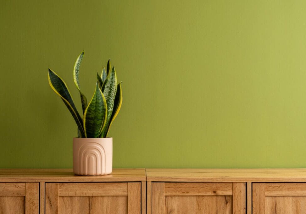 accent wall accent wall