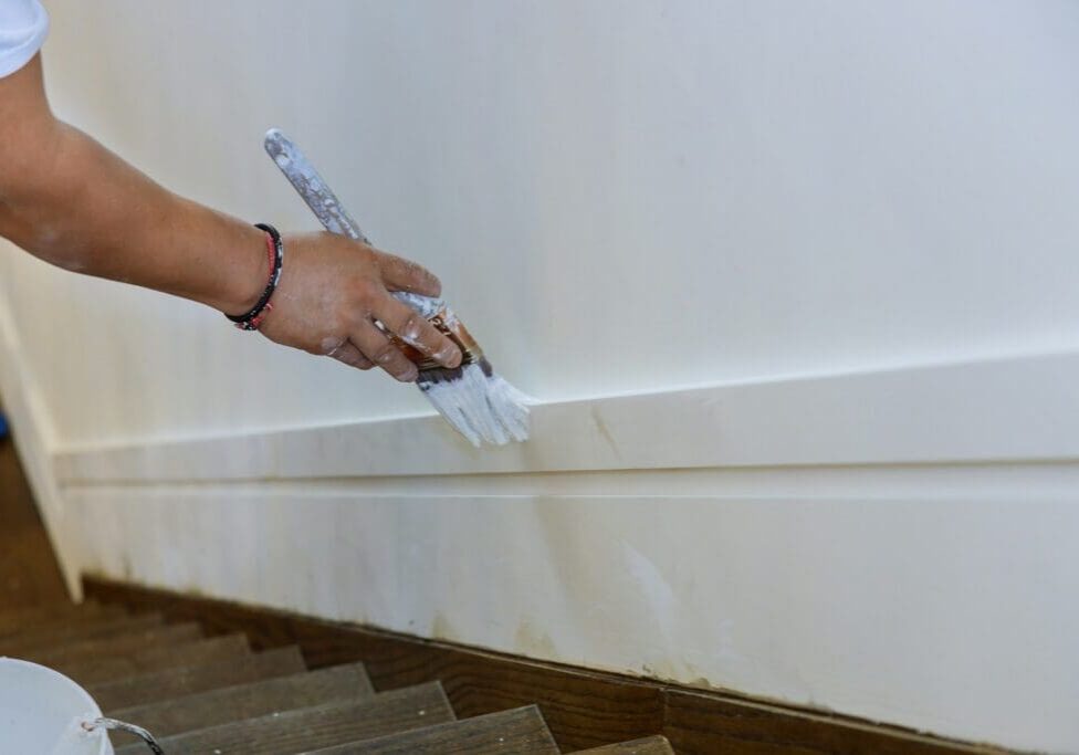 paint refresh