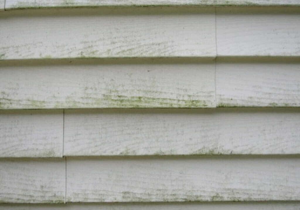 Green algae and mildew growth on white residential siding, one of the most common signs your home needs exterior repainting in Baton Rouge.